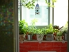 73 Home_Taoyuan_Ms_Lin_049